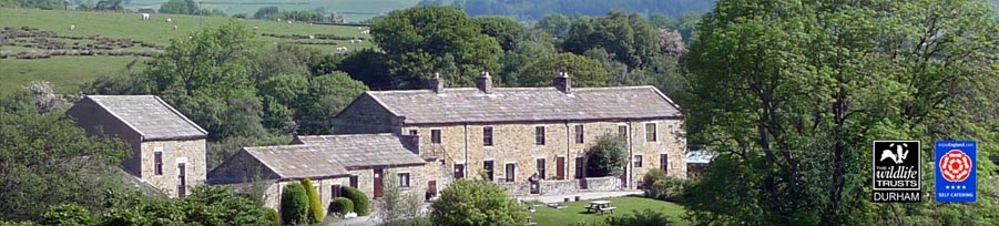 East Briscoe Farm Cottages, Self-Catering Cottages in Teesdale, County Durham