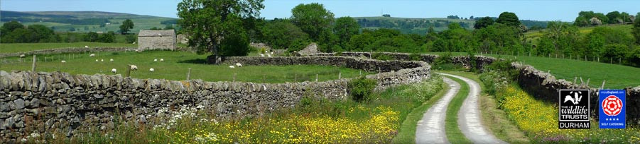 East Briscoe Farm Cottages, Self-Catering Cottages in Teesdale, County Durham