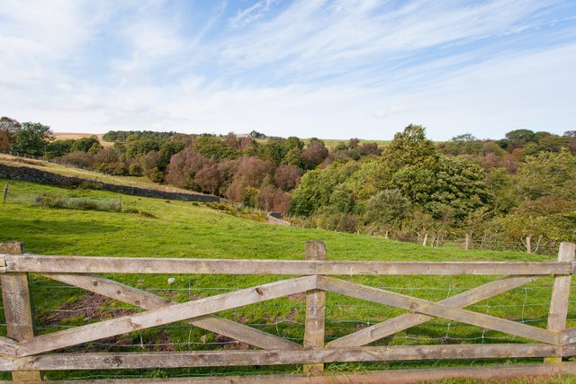 The Woods, East Briscoe Teesdale Holiday Cottages