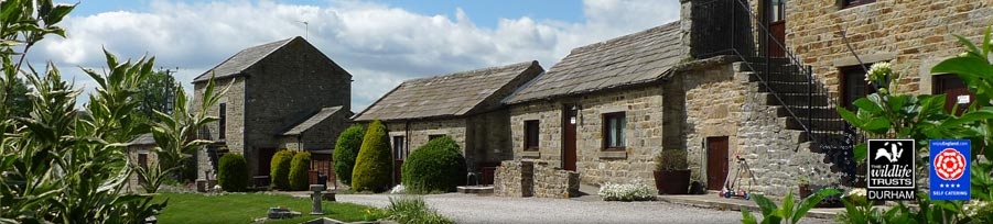 East Briscoe Farm Cottages, Self-Catering Cottages in Teesdale, County Durham