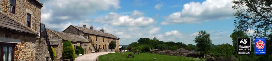 East Briscoe Farm 

Cottages, Self-Catering Cottages in Teesdale, County Durham